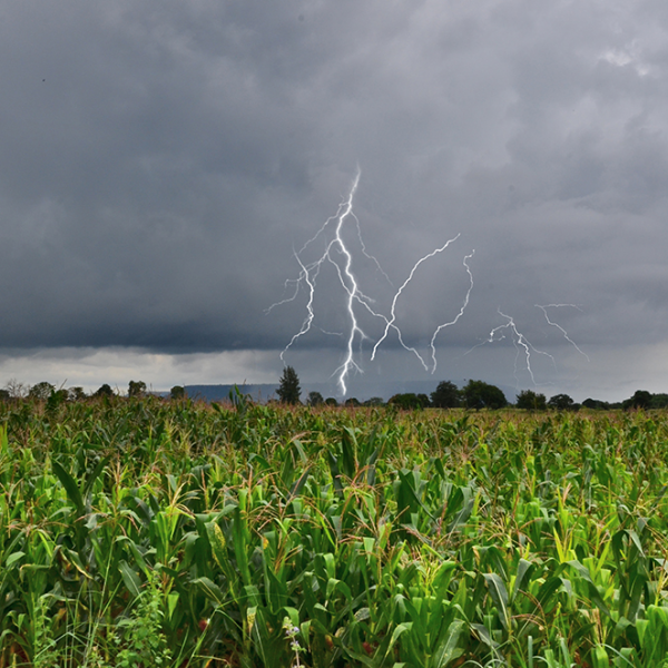  storm-safety-midwest-seniors.jpg 