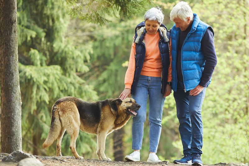 seniors-owning-pets.jpg